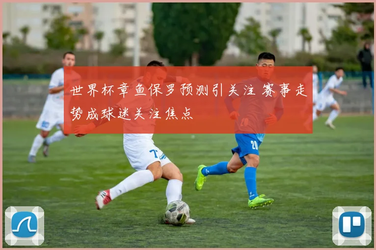 世界杯章鱼保罗预测引关注 赛事走势成球迷关注焦点