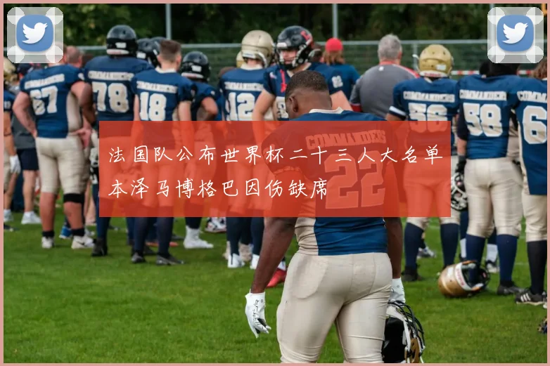法国队公布世界杯二十三人大名单本泽马博格巴因伤缺席