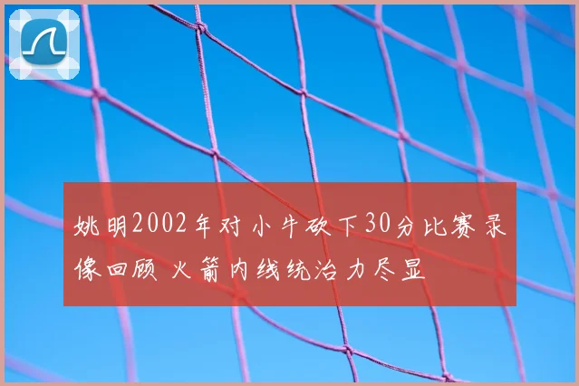 姚明2002年对小牛砍下30分比赛录像回顾 火箭内线统治力尽显