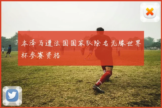 本泽马遭法国国家队除名无缘世界杯参赛资格