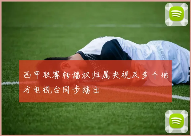 西甲联赛转播权归属央视及多个地方电视台同步播出