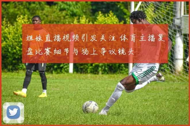 姐妹直播视频引发关注 体育主播复盘比赛细节与场上争议镜头