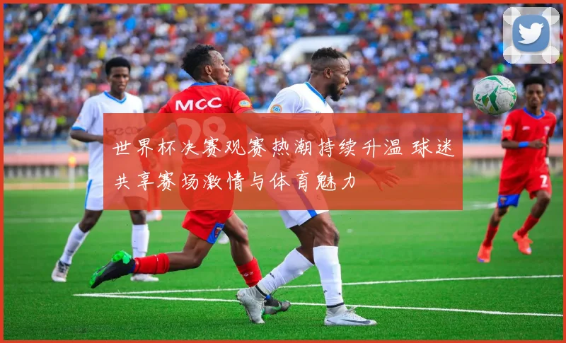 世界杯决赛观赛热潮持续升温 球迷共享赛场激情与体育魅力