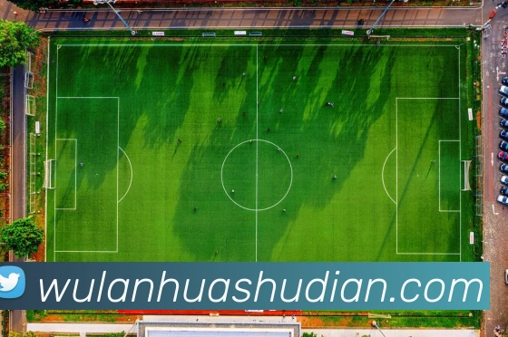 安博app下载网站平台生态图