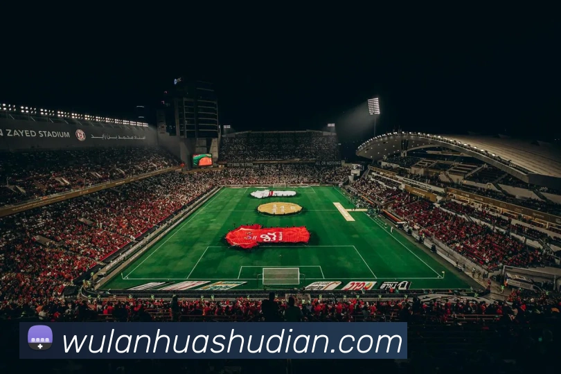 安博app下载网站APP 封面图